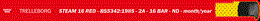 Промышленный рукав Trelleborg STEAM 16 51 L 40 5513658, d=51