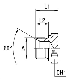 Заглушка V (Ш) BSP 3/8