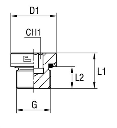 Заглушка V (Ш) BSP3/8"