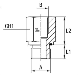 Соединение PFE BSP 1/2" BSP 3/4"