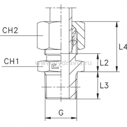 Штуцер FC DS16 BSP 1/2" (в сборе) нерж.