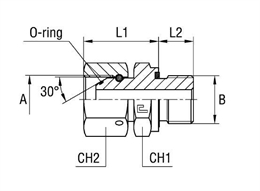 Штуцер FNE BSP 1/4" BSP 1/4"