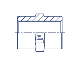 Соединение PS BSP 1.1/2" BSP 1.1/2"