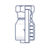Фитинги BSP, внутренняя резьба, конус 60°, обжатая гайка, BS 5200, ISO 12151-6 HX1616FGP DN=25