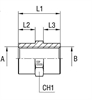 Соединение PS BSP 3/8" BSP 3/8"