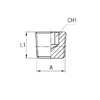 Заглушка (Ш) BSPT 1/4