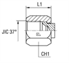 Заглушка V (Г) JIC 7/8"