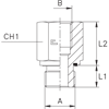 Соединение PFE BSP 1/8" BSP 3/8"