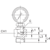 Штуцер DL06 BSP1/4"