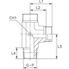 Штуцер FLC DS20 BSPT 3/4" (корпус)