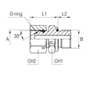 Штуцер FNE BSP 1.1/4" BSP 1.1/4"