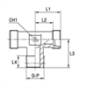 Тройник ввертной под кольцо DS10 NPT 3/8" арт. 102616.1